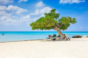 Which is Way Cheaper to Travel to Aruba or Bahamas